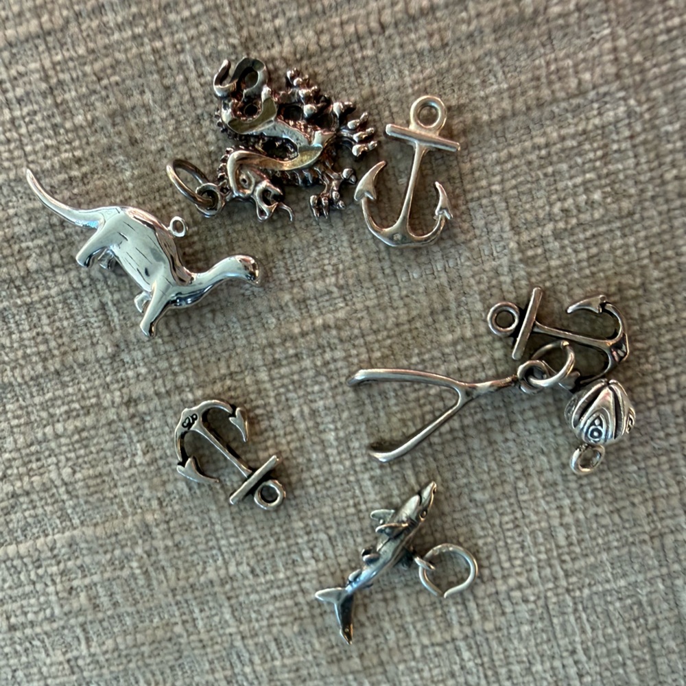 Sterling Silver Charms Collection